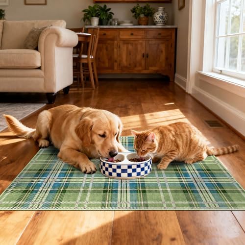 Plaid Outdoor Rug - 28"x43" Front Door Mat Indoor Outside Entrance