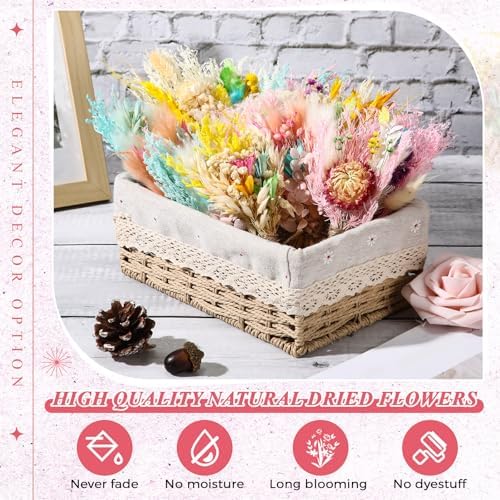 Layhit 12 Pcs Mini Dried Flower Bouquet Boho for Wedding,Lively