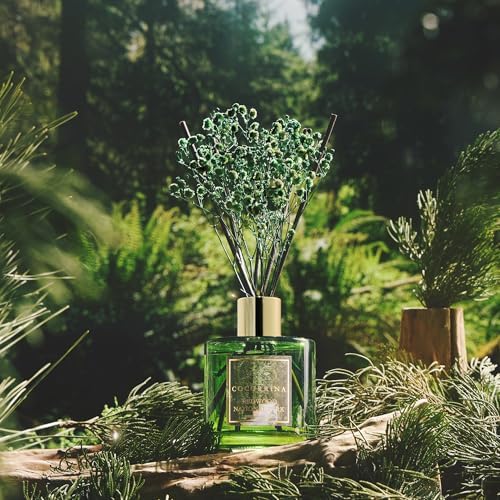 COCORRÍNA Reed Diffuser - Redwood National Park 6.7 Fl.oz Reed Diffuser Set with 8 Sticks & Preserved Baby's Breath