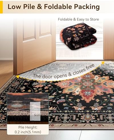RELEANY Washable Area Rug, Small 2'6"x4', Black/Colorful