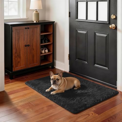 Ophanie Small Black Entryway Throw Rugs for Bedroom, 2x3 Mini Area Rug, Affordable Non Slip Fluffy Carpet, Fuzzy Soft