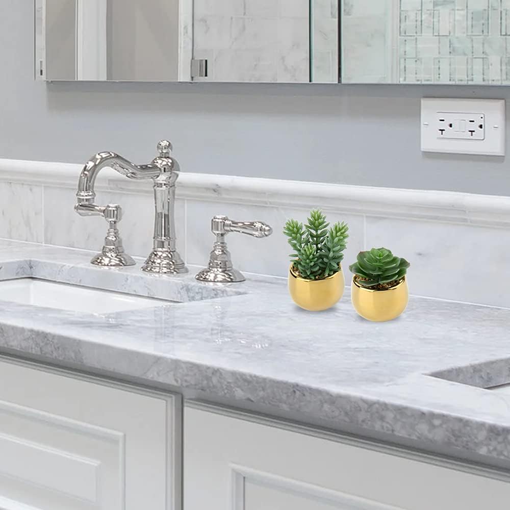 Small Artificial Succulents in Pots Realistic Faux Succulents Plants / Style #09 / Gold / Set of 3