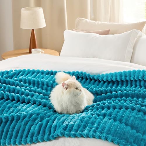 Bedsure Soft Throw Blanket for Couch Decor Gifts Teal 50"x70"
