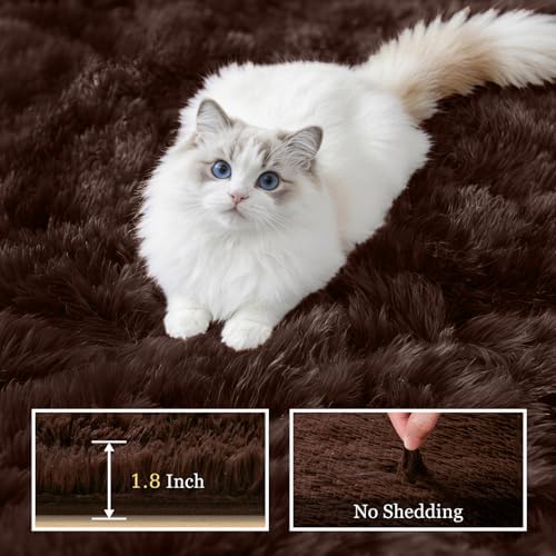 Area Rug Living Room Bedroom: 6x9 Fluffy Plush Shag Carpet Brown