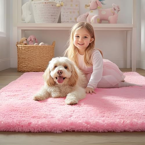 OLANLY 5x7 Machine Washable Large Area Rugs for Living Room, Bedroom, Soft Fluffy Shaggy Bedside Rug, Indoor Floor
