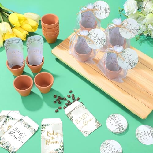 Reallnaive 24 Sets Baby Shower Party Favors Seed Packets Baby in Bloom