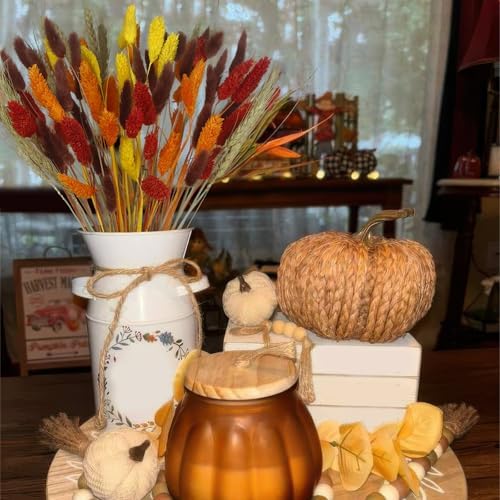 100Pcs Bunny Tail Dried Flowers Dried Fall Flowers Pampas Grass Decor