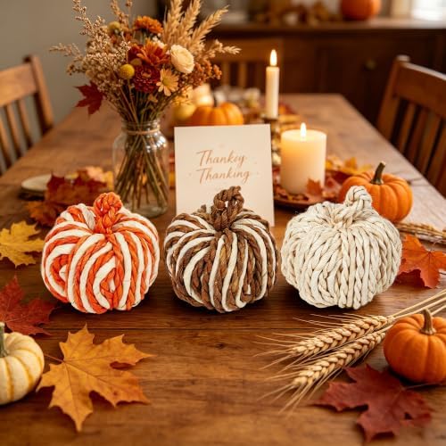 Lulu Home Set of 3 Handwoven Pumpkins Decor