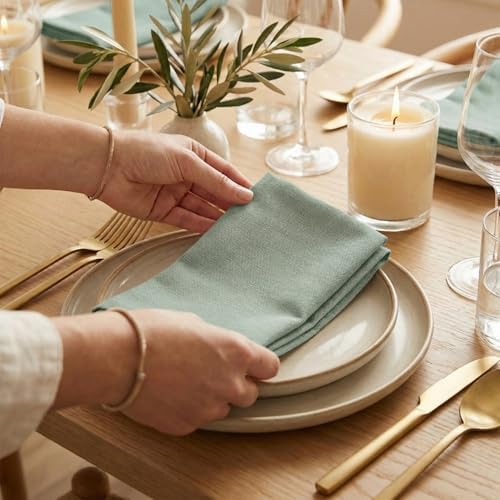 ACCENTHOME Accent Home 100% Cotton Napkins, Delicate Cloth Napkins for Dinners, Parties and Weddings，18 x 18 Inch Set of 12 - Teal