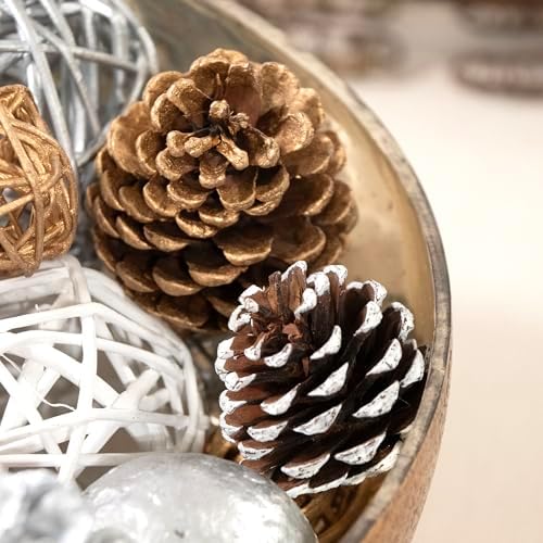 ANDALUCA Decorative Balls Orbs Bag (Silver Pinecone)