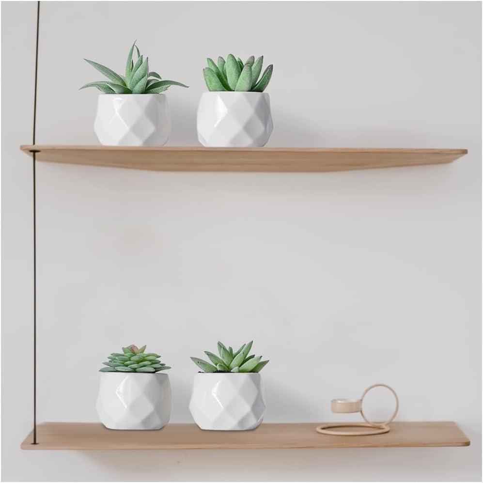 Artificial Plants for Women Desk