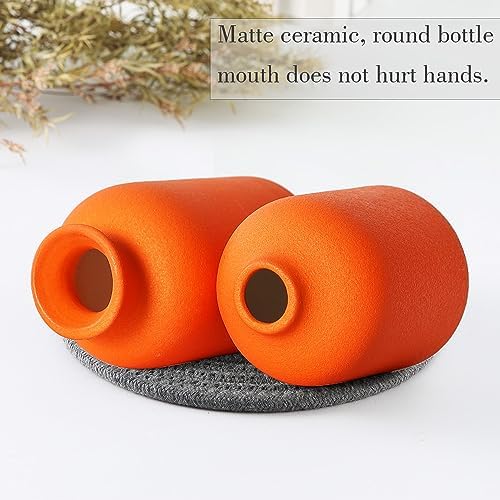 Ceramic Orange Vases Small Flower Vases for Decor / 3set-orange / Set of 3