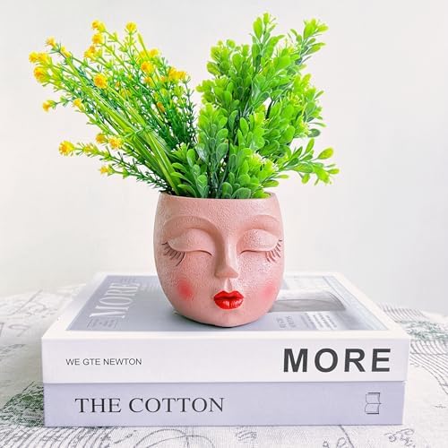 Face Planter Pot,Small Cute Resin Flower Head Planter with Red Lip,Brown,1P