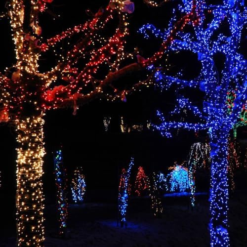 TW SHINE Christmas Lights, 200 LED 66FT Outdoor Christmas Lights Plug in with 8 Modes, Waterproof Light Outdoor, Indoor Xmas Decorations for Party Yard House Decor, Red