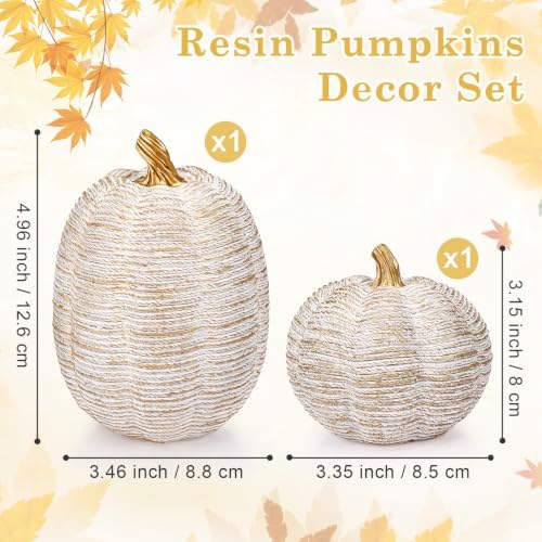 2Pcs White Resin Fall Pumpkin Decor Set for Thanksgiving Halloween