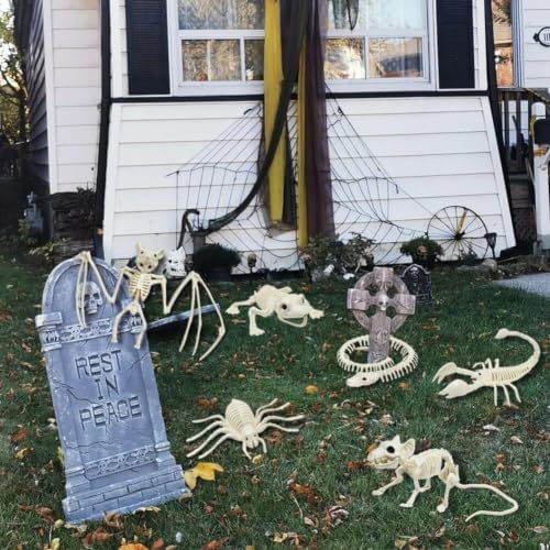CAMIRUS 6Pack Animal Halloween Skeletons, Realistic Animal Skeleton