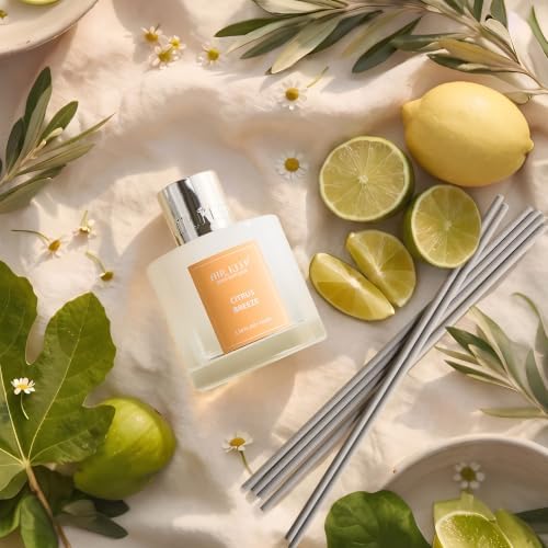 Airkeep Reed Diffuser Set,3.38 fl oz (100 ml) - Citrus Breeze Oil Diffusers with 8 Reed Sticks, Home Fragrance Reed