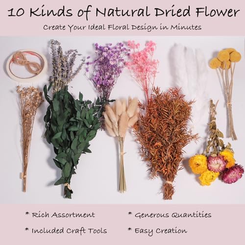 10 Kinds Natural Dried Flower Set, Bulk Dried Flowers for Vase,Mini Dried Flower Bouquets,Dried Flowers with Stems for DIY Crafts, Vase Decor,Home/Wedding/Birthday Decor(7.9-9.84in Flexible Stems)