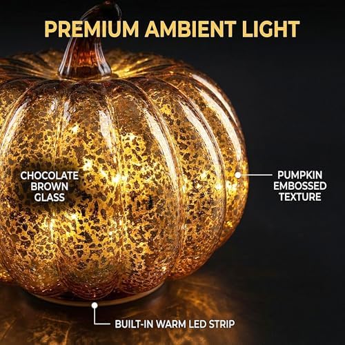 Fall Decor for Home,Mercury Glass Pumpkin Lights with Timer(Chocolate)