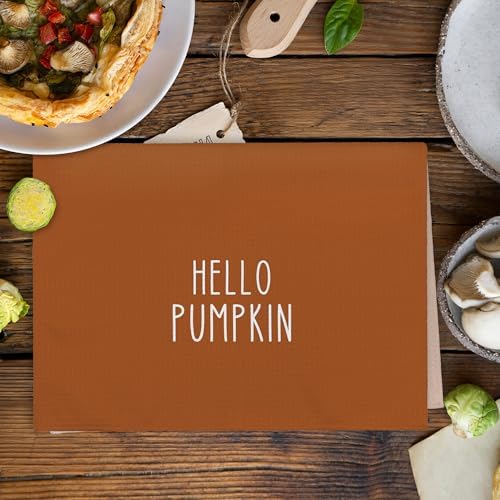 Fall Hello Pumpkin Kitchen Towels and Dishcloths Sets of 2, Fall Burnt Orange Beige White Pumpkin Decor Dish Hand Tea Towels Gifts for Bathroom Kitchen, Autumn Aesthetic Fall Decor, 16x24 in
