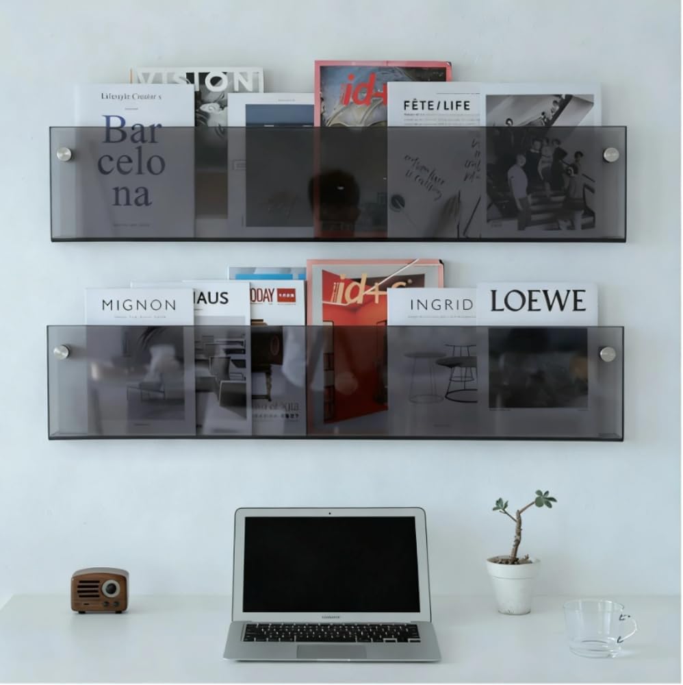 ROYALITA 2-Pack Acrylic Magazine Holder Brochure Holder, Gray 36 Inch | Record Magazine Rack, Fashion Floating