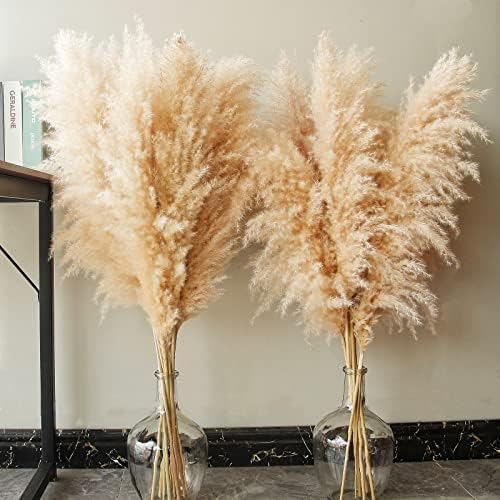 Tall Pampas Grass for Weddingm / Beige