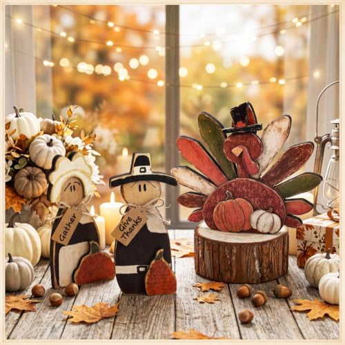 Cinnvoice 3 Pcs Fall Decorations Thanksgiving Pilgrim Turkey Tabletop Signs