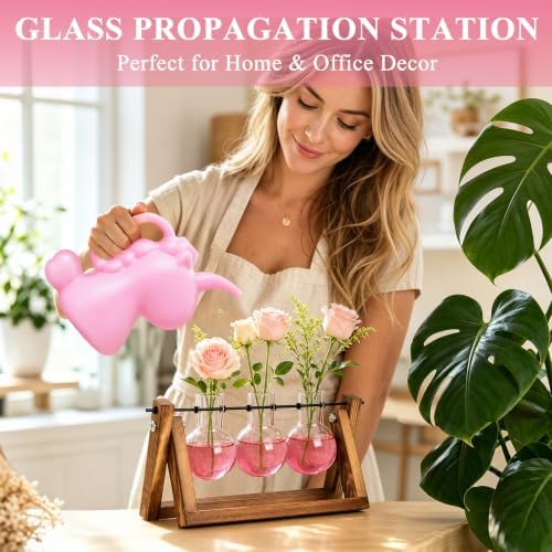 XXXFLOWER Plant Terrarium Kit with Wooden Stand 3 Gradient Pink Bulb Vases