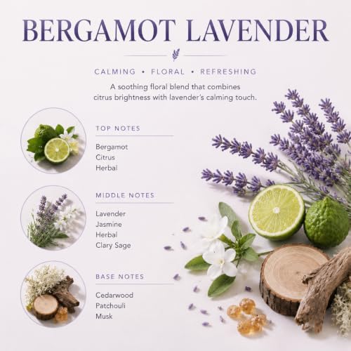 Airkeep Reed Diffuser Set,3.38 fl oz (100 ml) - Bergamot Lavender Oil Diffusers with 8 Reed Sticks, Home Fragrance Reed