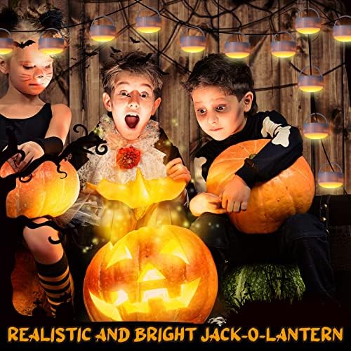 Riakrum 6 Pack Halloween Pumpkin LED Lights, White
