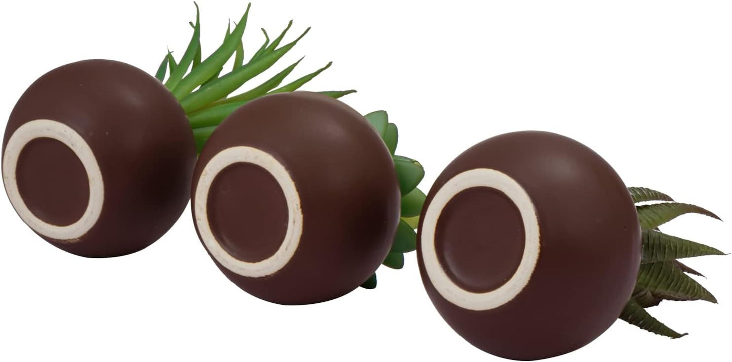 Succulents Plants Artificial / Brown / Set of 3