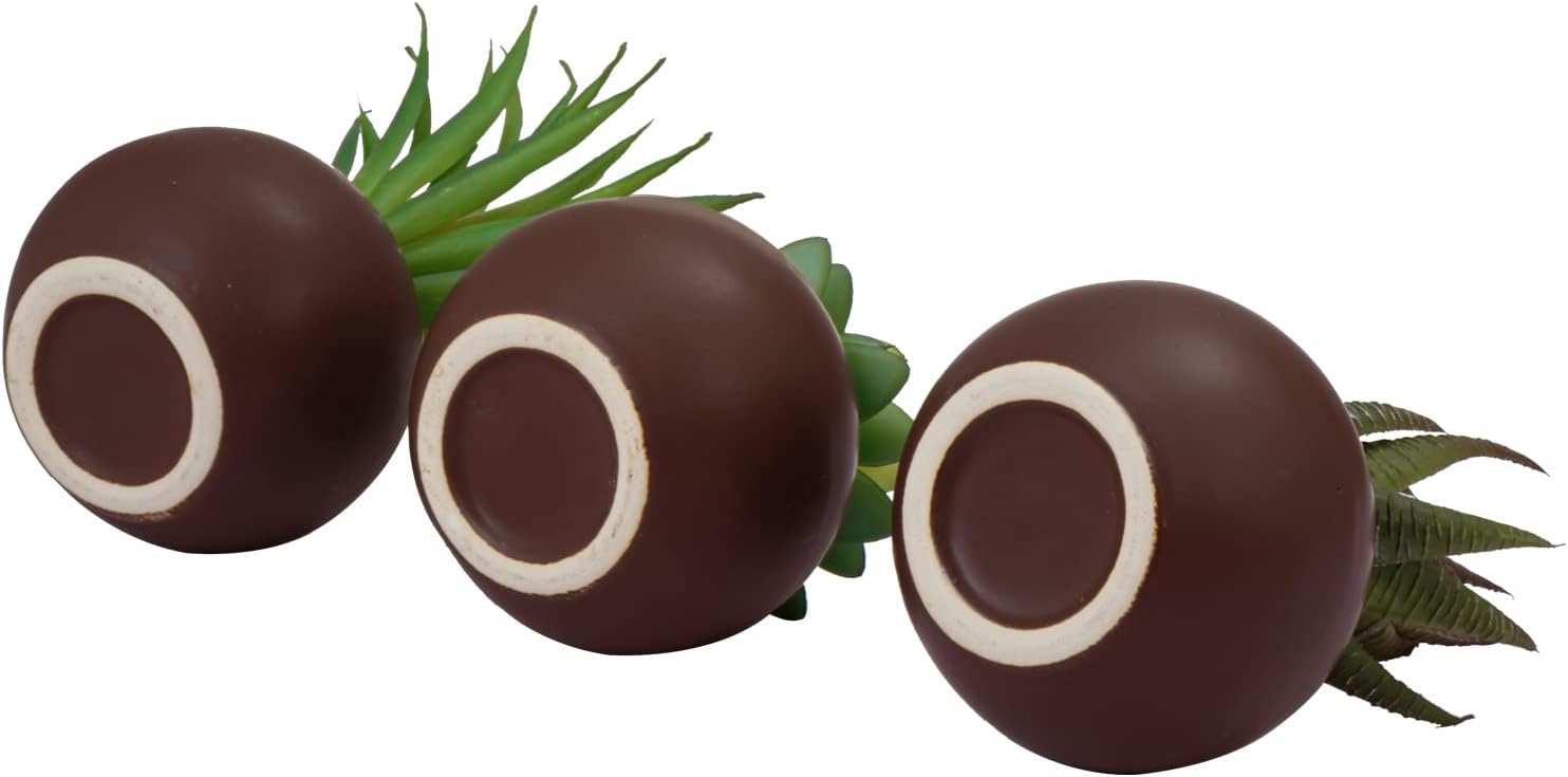 Succulents Plants Artificial / Brown / Set of 3