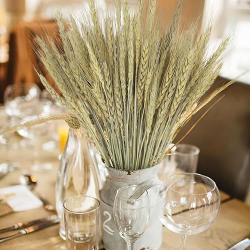 100Stems Dried Wheat Stalks Natural Wheat Straw Bouquet