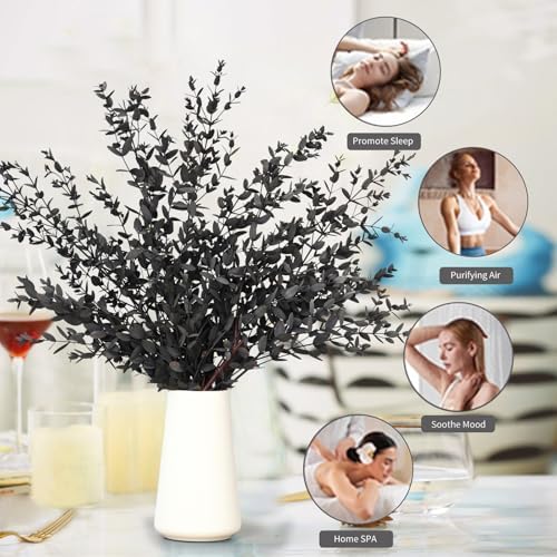 Dried Eucalyptus Leaves Stems, Real Preserved Fresh Eucalyptus Plant for Shower, Small Dried Willow Branches Bundle for Wedding Wreath Party Home Fragrance Vase Bathroom Decor (Black, 3oz)