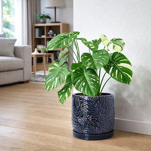 D'vine Dev Embossed Leaves Ceramic Planter, 10 in, Midnight Blue, 27-A-P-3