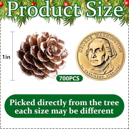 700 Pcs Christmas Natural Mini Pine Cones - Small Xmas Snow Pinecones Decor