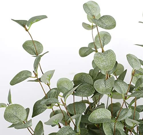 27" Eucalyptus Stems Greenery Stems Eucalyptus Leaf Spray in Silk Plastic Plants / Green / Set of 6