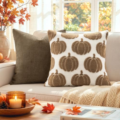 Fall Pumpkin Pillow Covers Fall Decor 18x18 Set of 2 Light Brown