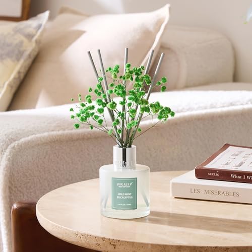 Airkeep Reed Diffuser Set,3.38 fl oz (100 ml) - Wild Mint&Eucalyptus Oil Diffusers with 8 Reed Sticks, Home Fragrance