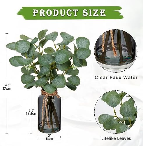 Artificial Eucalyptus Stems in Glass Vase / Black