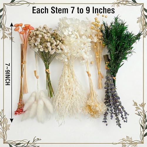 LUXEEASE 11 Kinds Mixed Mini Dried Flowers Bouquet with Stems, 176 Pcs