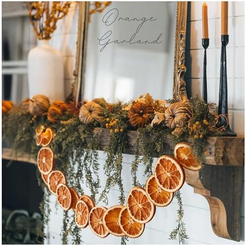 Christmas Decorations - 10 Ft Dried Orange Slice Fall Christmas Garland