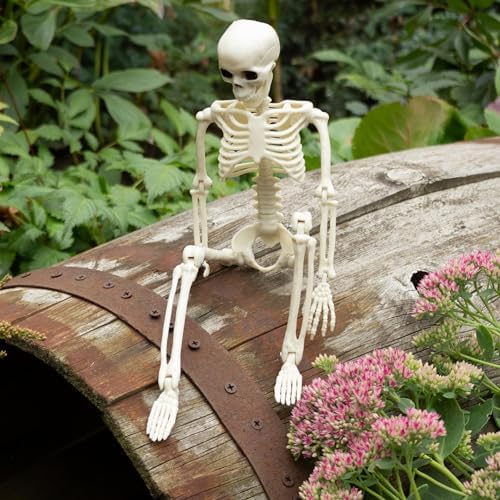 Halloween Decorations Outdoor Skeletons - 16" Posable Plastic Skeleton - Spooky Scary Small Skeleton for Halloween Decor, Haunted House, Party, Yard, and Graveyard Props