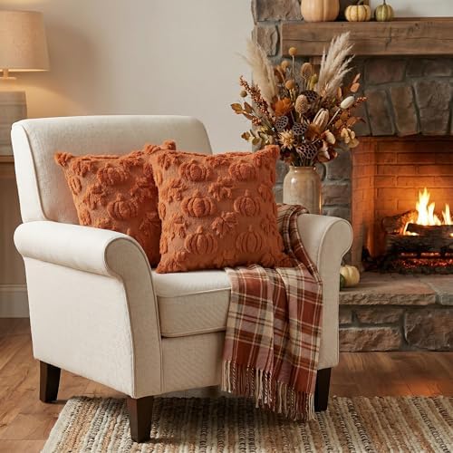 AVOIN colorlife Caramel Pumpkin Fall Throw Pillow Covers 20x20 Inch