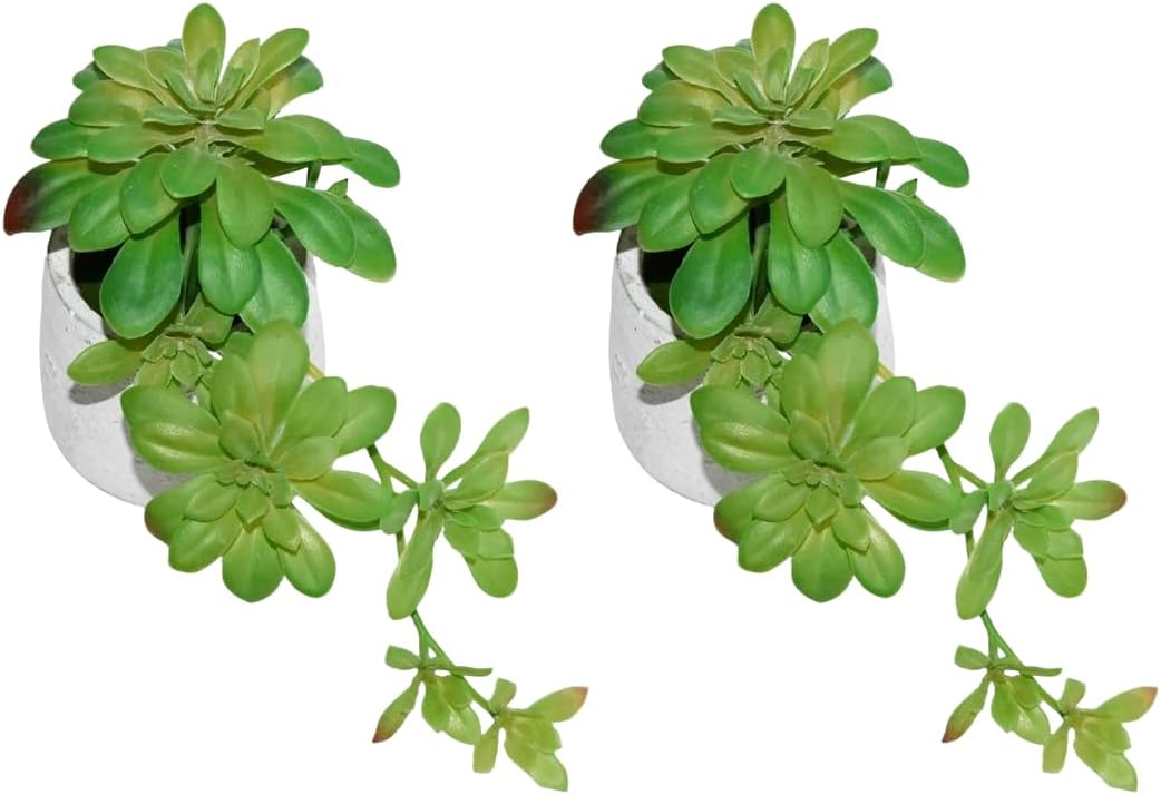 Artificial Succulent Plants / Green / Set of 2