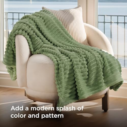 Bedsure Soft Twin Blanket for Bed Decor Gifts Reseda Green 60"x80"