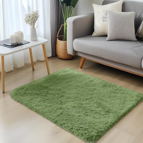OLANLY 2x3 Machine Washable Small Bedside Rug, Soft Fluffy Shaggy Entryway Throw Rugs for Bedroom, Living Room, Indoor