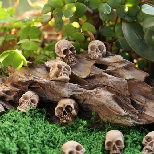 40pcs Mini Skulls Figurine Skeleton Head Miniatures,Tiny Resin Skulls for Crafts Halloween Party Decor, Dollhouse Accessories,Vase Fillers, Cake Topper Plants Outdoor Decoration