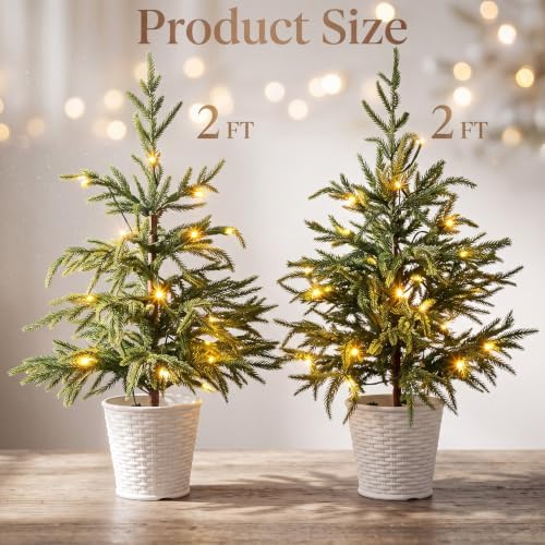 2 Pack 2FT Artificial Norfolk Pine Tree, abletop Decor Plants