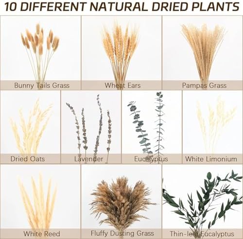 N&T NETING Boho Dried Pampas Grass Set for DIY Crafts Wedding Centerpieces